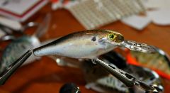 Rapala SR 7 .. Gizzard Shad Photo Finish