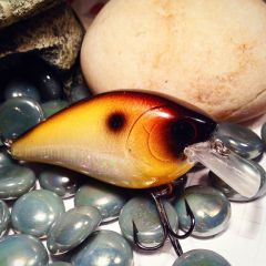 Halloween Shad