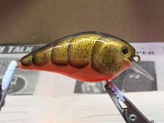 Gold Craw