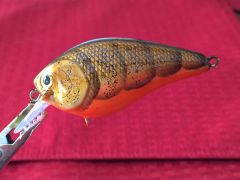 Copper Craw