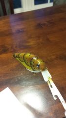 Green Pumpkin Craw