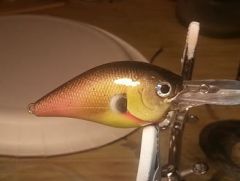 My gold shad