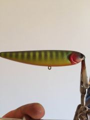 Topwater Stripes