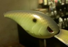 Light Chartruese shad