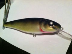 Cedar musky bait