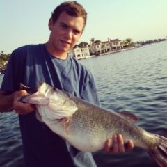 12lb Largemouth Bass