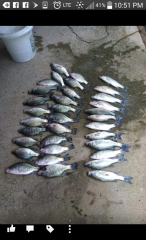 1st crappie jig results