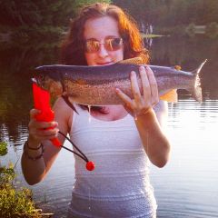 PB Rainbow Trout