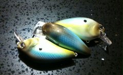 Bass Pro XPS repaints