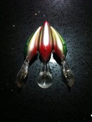 Rapala DD Fat Rap repaints