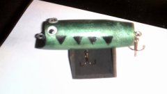 large birch topwater lure