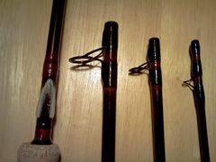 Salmon gill rakers