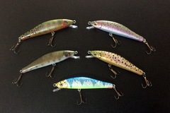 Trout, bass, & abstract trout