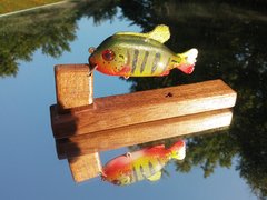 Peacock Bass