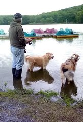 frank fishing - Winding Hill with bristol and palin.jpg