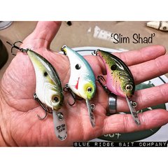 Slim Shad.jpeg