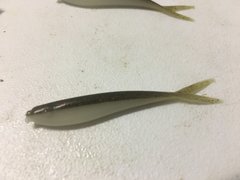 2.25 Silver Fish jacobs molds