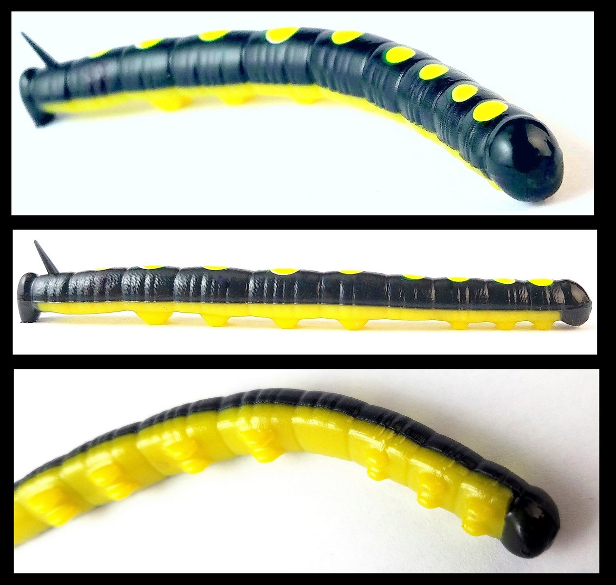 large.CatawbaWorm.jpg.568357f6d216f0ae1a