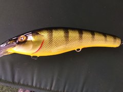 perch12.jpg