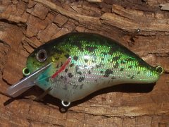 HDH Crappie 6.JPG