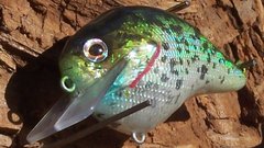 HDH Crappie5.JPG