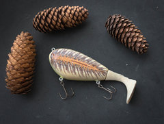 spruce cone paddle tail