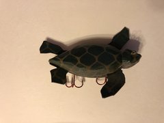 Sea Turtle