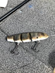 Sucker Swimbait