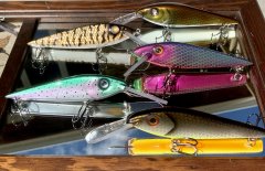 4 3/4” cedar crank baits