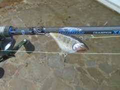 A lipless crankbait