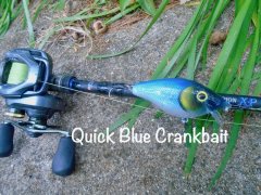 Quick blue crankbait