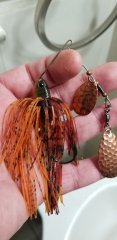 autumn spinnerbait.jpg