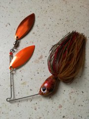 1157007076_DivinoSpinnerbaitBolsenaLakeCraw.jpg