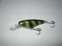 Green Shad