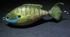 Bluegill.jpg