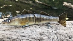 Wooden Walleye