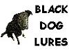 Black Dog