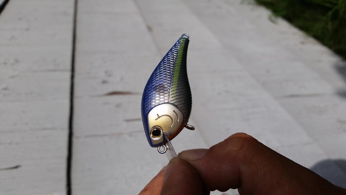 Color changing paint. Color Shifting paint, powder pearls. Paint - Hard  Baits -  - Tackle Building Forums