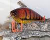 Ghost Cajun Craw 001.JPG