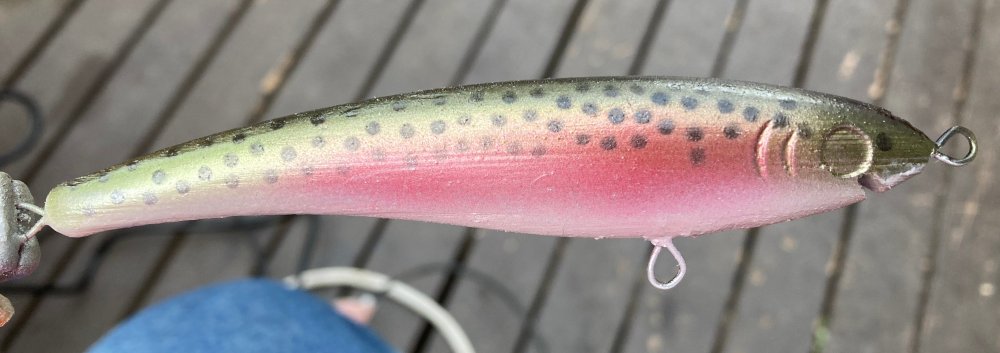 StenciledTrout.thumb.jpg.48e9d3f38af53dbd5097056e60b584af.jpg